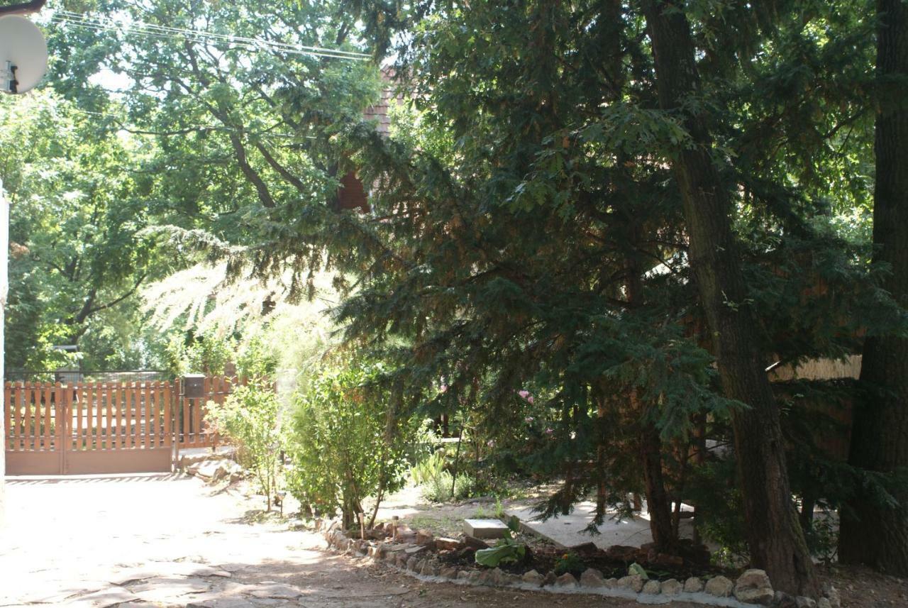 Rianas Utca Palkove Apartment Balatonrendes Exterior photo